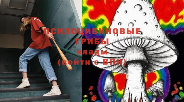 прущие грибы Рославль