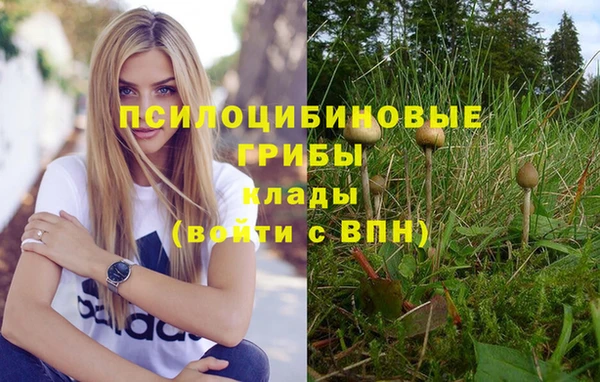 дживик Саяногорск