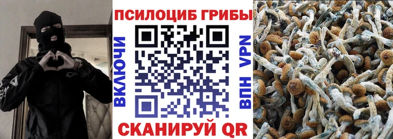 Галлюциногенные грибы мицелий  Ртищево 